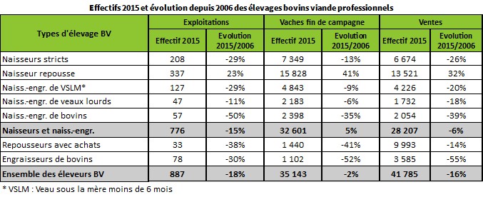 Effectifs 2015 et évolution depuis 2006 des élevages bovins viande professionnels